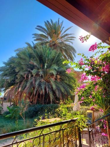 Golden Palms Guest House & Cafe Hotel in Famagusta
