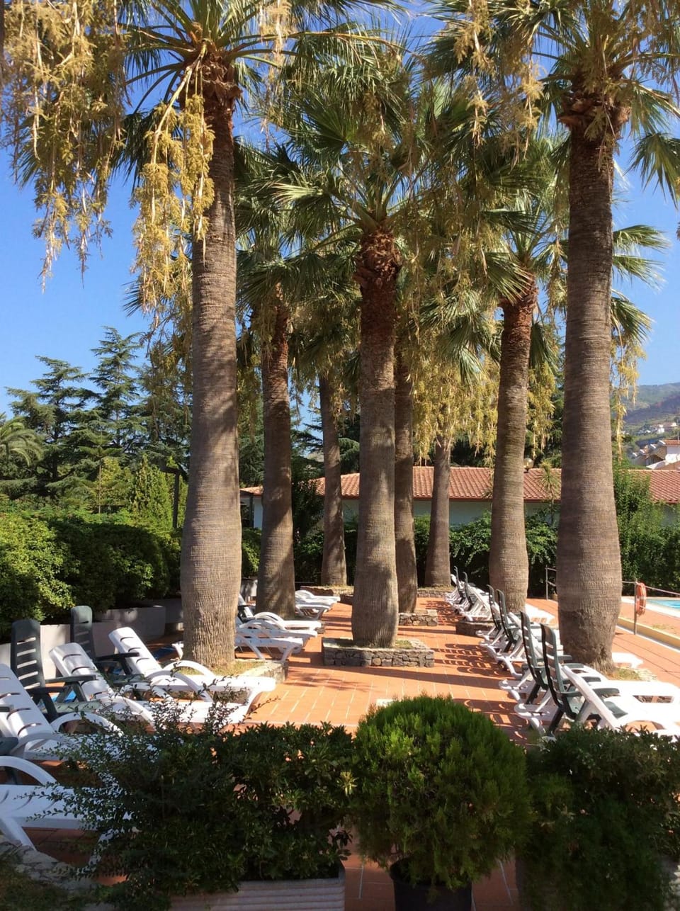 Villaggio Turistico La Mantinera - Hotel Hotel in Praia A Mare