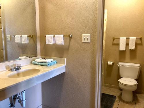 Lone Star Inn & Suites Motel in Killeen