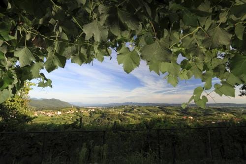 Pri Marjotu Hotel in Friuli-Venezia Giulia