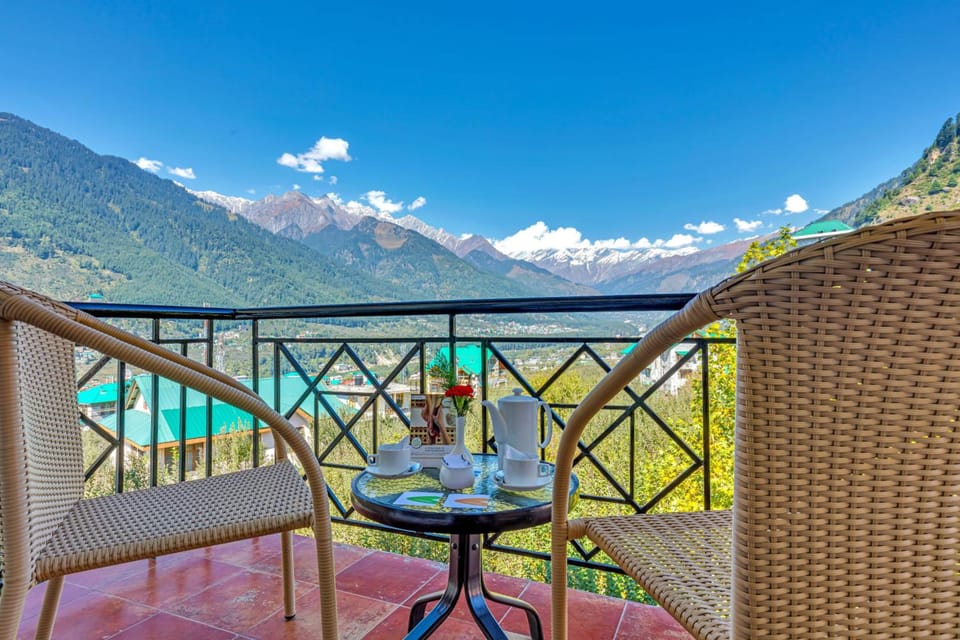 View