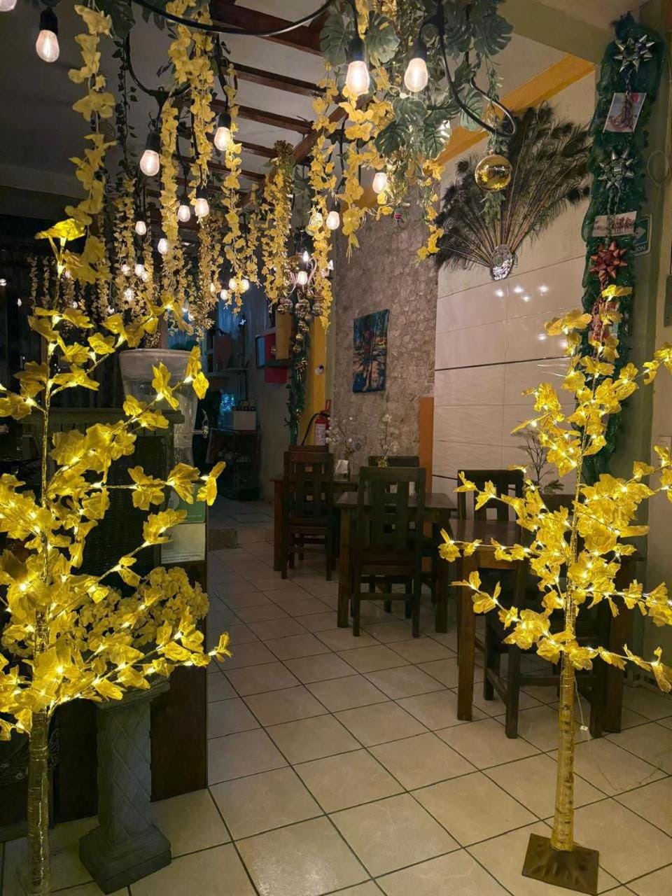 Hotel Carnaval Hotel in State of Puebla