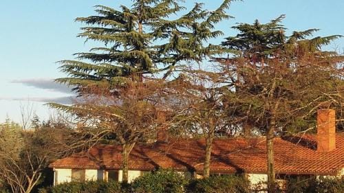 La Fattoria Barbini B&B Hotel in Viterbo