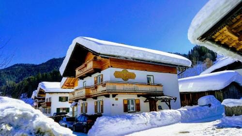 Appartement Ingrid Hotel in Ellmau