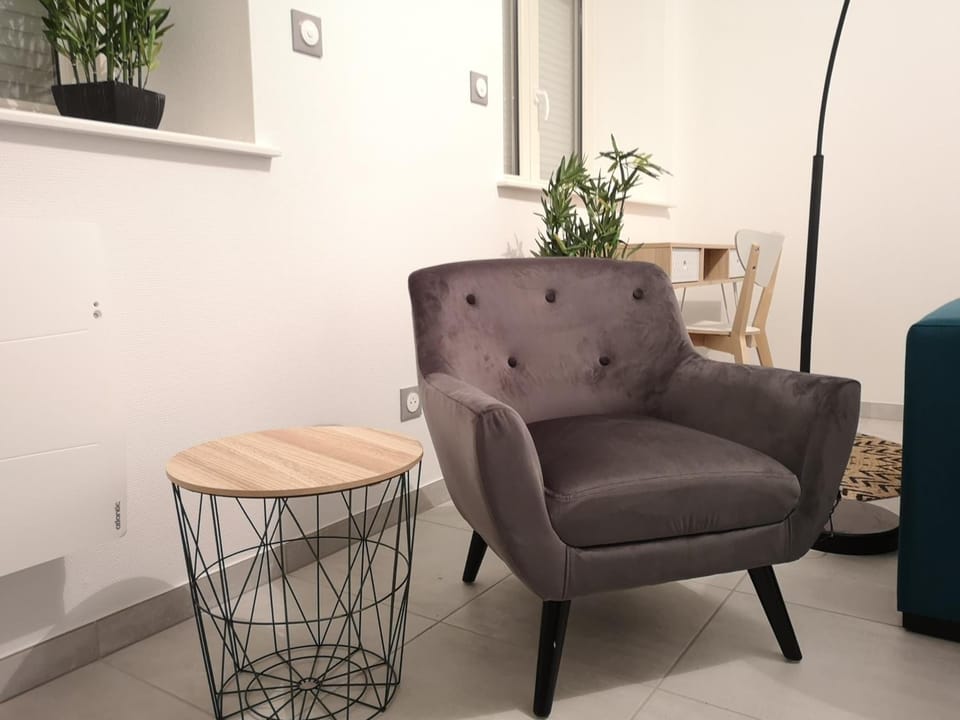 LE WILSON SUITE - Centre-ville - Gare - Tram Hotel in Mulhouse