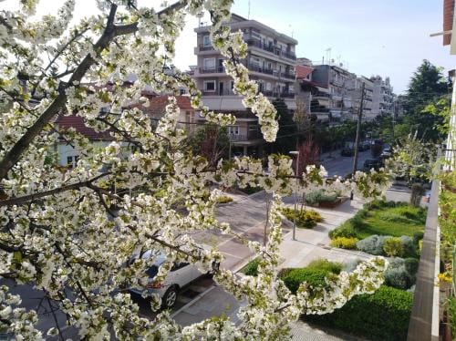 Olympia Hotel in Decentralized Administration of Macedonia and Thrace