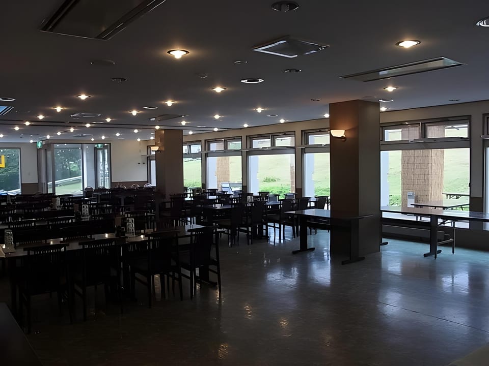 Ryuoo Park Hotel Hotel in Shimotakai District