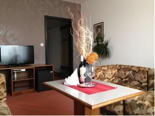 A-Austerlitz Hotel Hotel in Brno