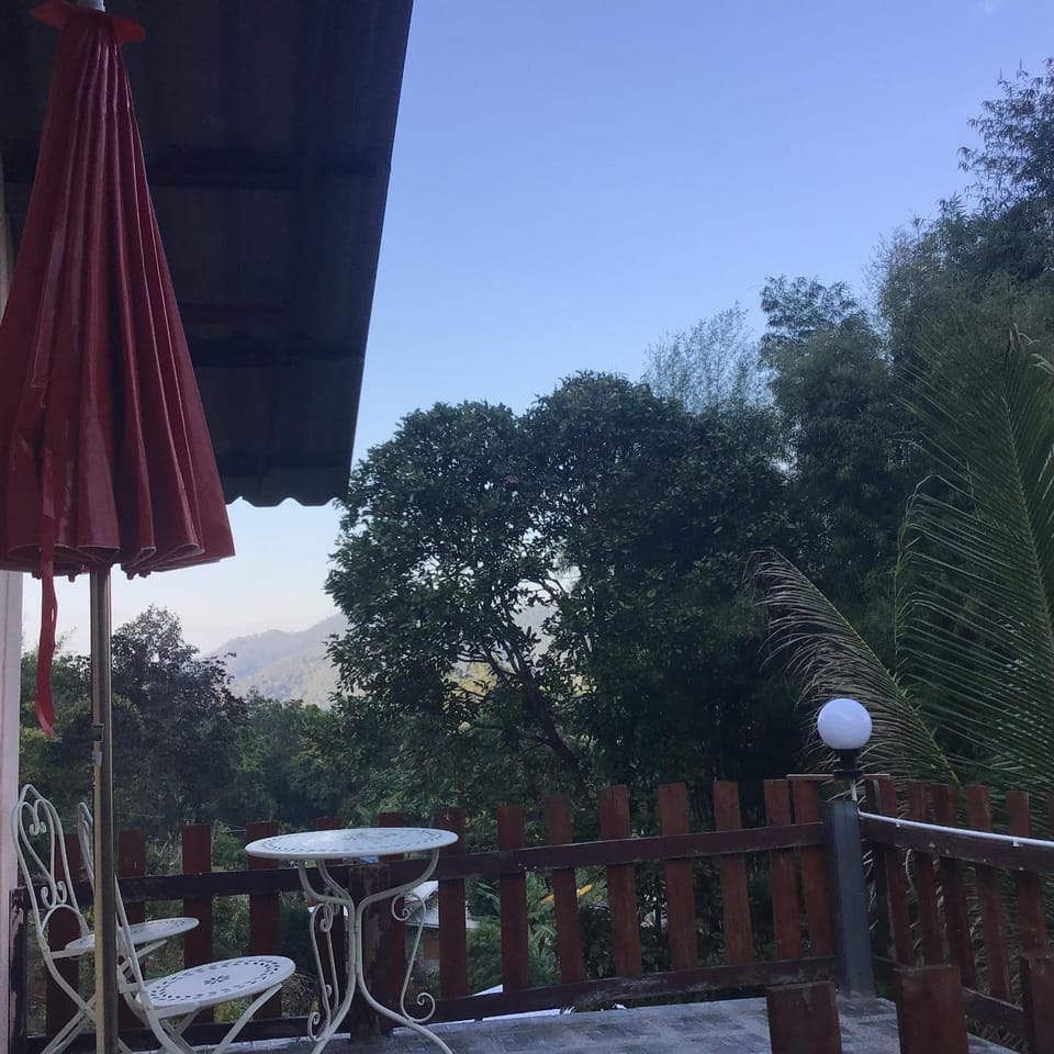 Forest Guesthouse Resort in Thailand