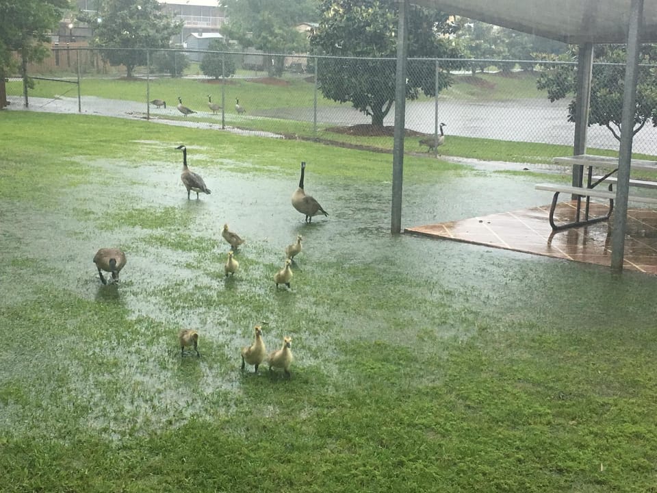 Trident Inn and Suites  Hotel in Baton Rouge