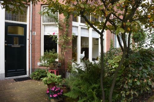 Bed & Breakfast Leonie Hotel in The Hague