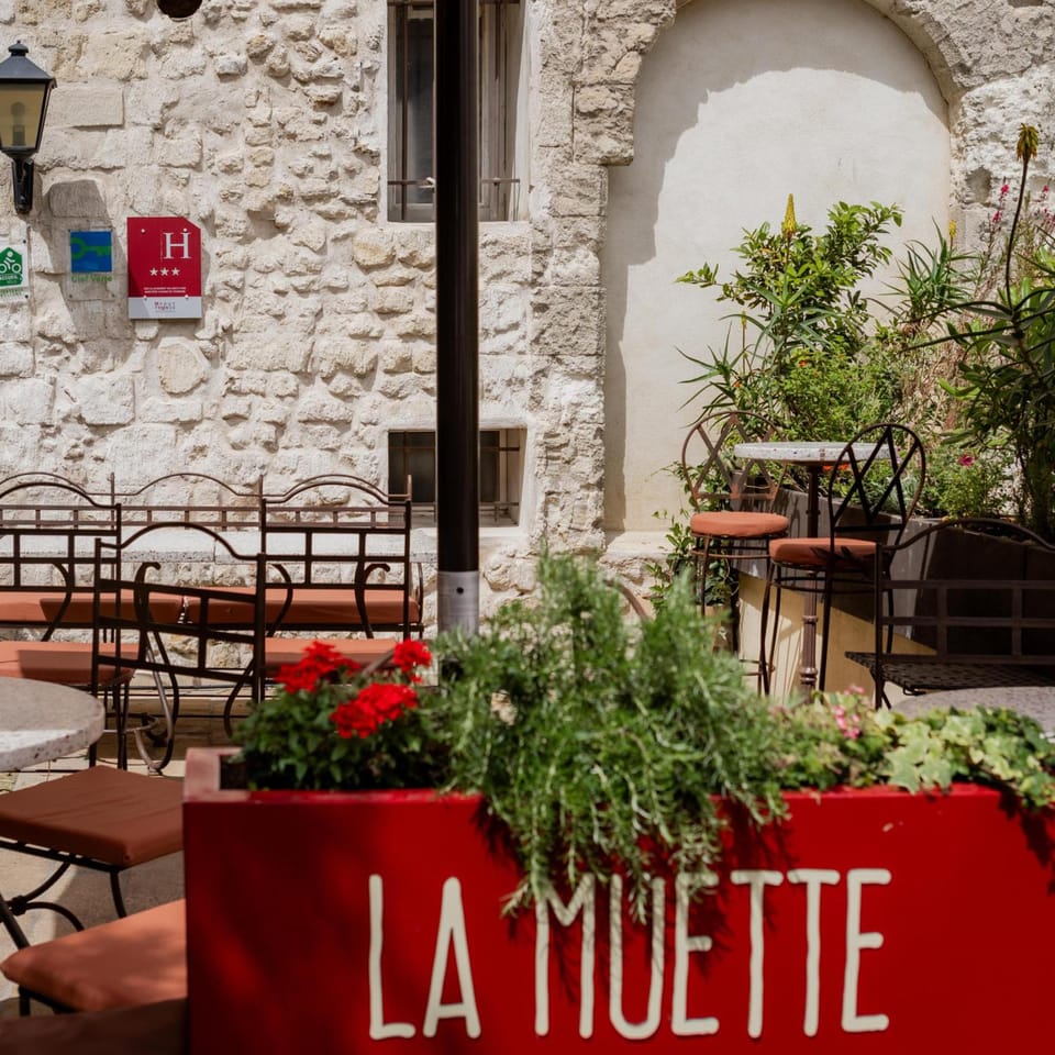 Hotel La Muette Hotel in Arles