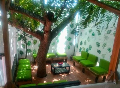 Posada Casa Antigua Inn in Tecolutla