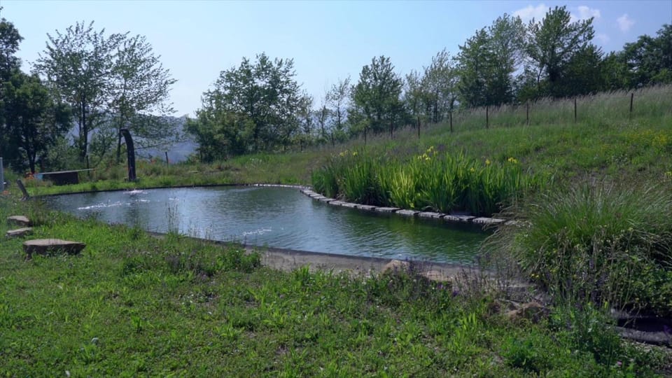 SacreTerre B&B e Agriturismo Hotel in Emilia-Romagna