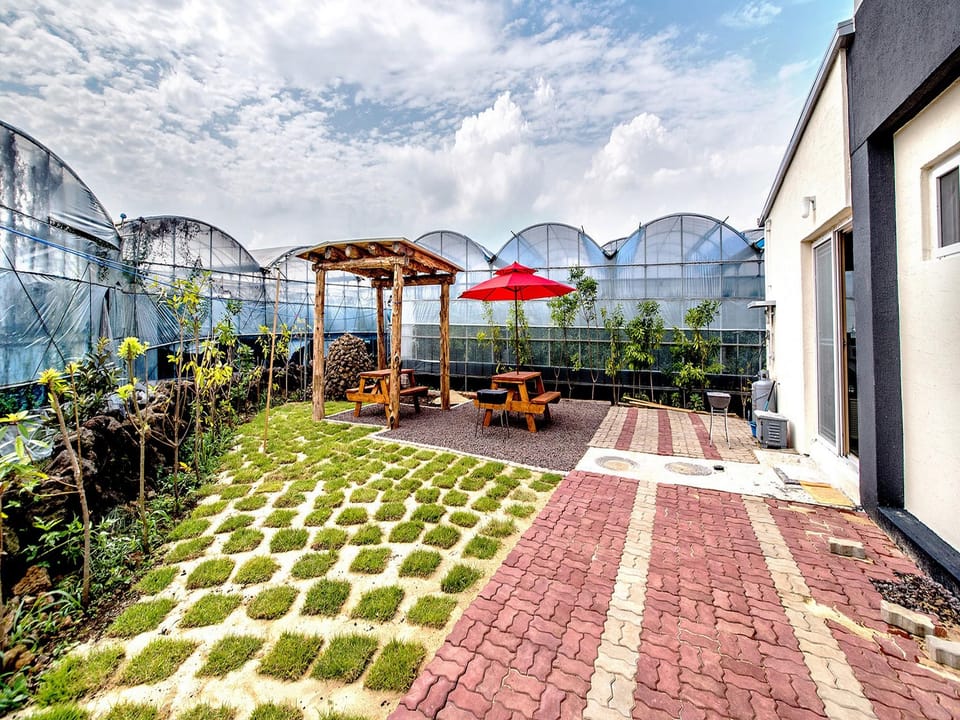 Soborok Yoborok Pension Apartment hotel in South Korea