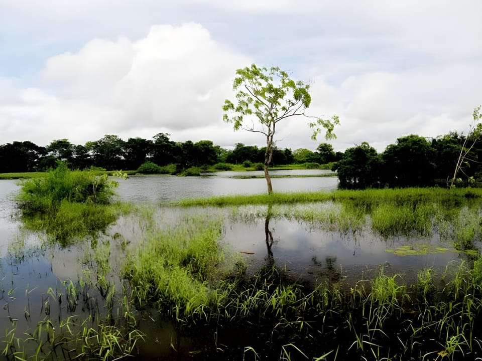 Surrounding environment