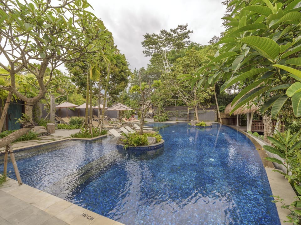 Swimming pool [outdoor]