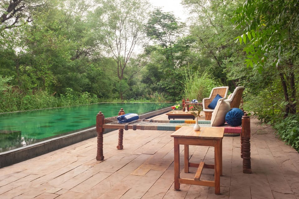 Trees N Tigers Luxury Wildlife Lodge Resort in Rajasthan