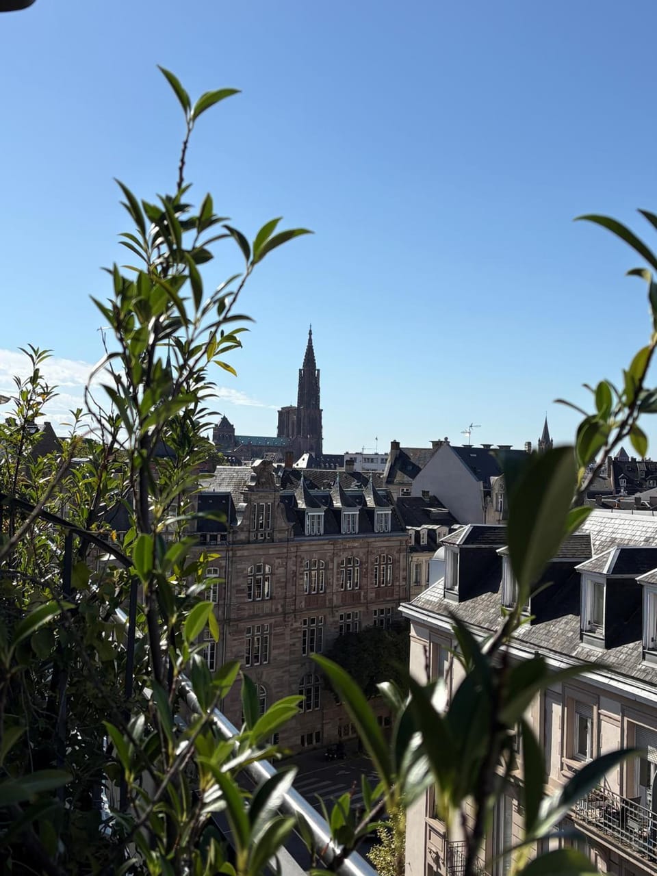 Maison LUTETIA R Hotel in Strasbourg