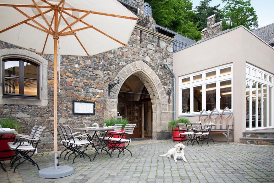 Burg Reichenstein Hotel in Mainz-Bingen