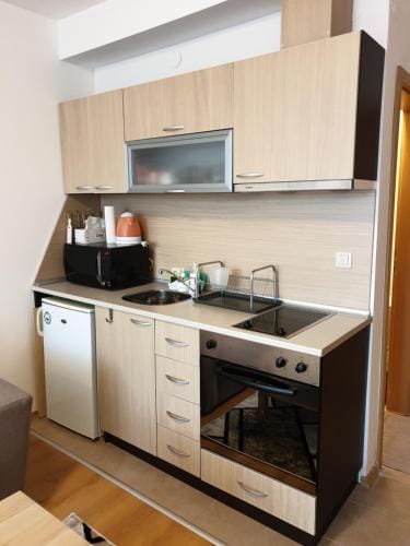 Private Studio in Aspen Golf and Ski Resort Resort in Blagoevgrad Province