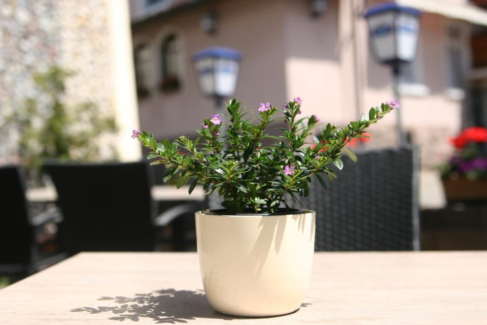 Hotel Restaurant Zum Hirschen Hotel in Baden-Württemberg