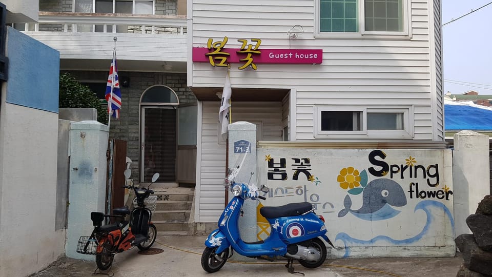 Spring Flower Guesthouse Hostel in South Korea