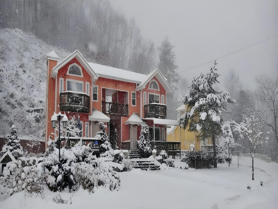 Angel Dream Pension Apartment hotel in South Korea