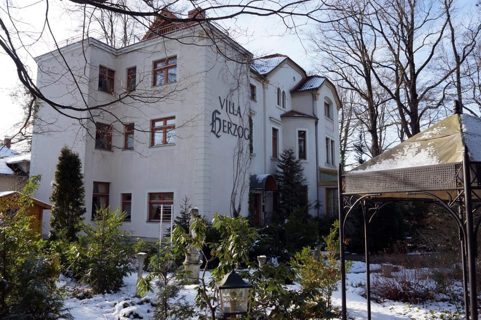 Hotel Villa Herzog Hotel in Dresden