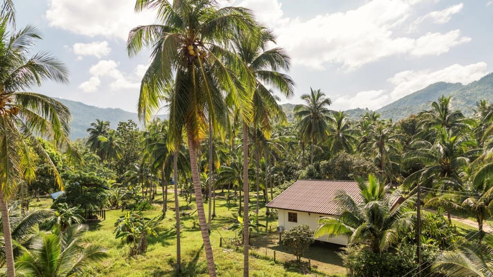 Mythai Guesthouse Resort in Ko Pha-ngan Sub-district