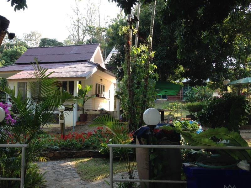 Garden