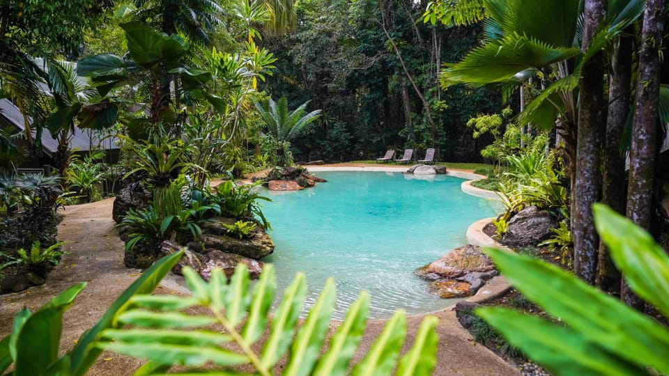 Ferntree Rainforest Lodge Lodge in Cape Tribulation
