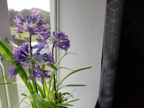 Wheatsheaf Inn Hotel in Malvern Hills District