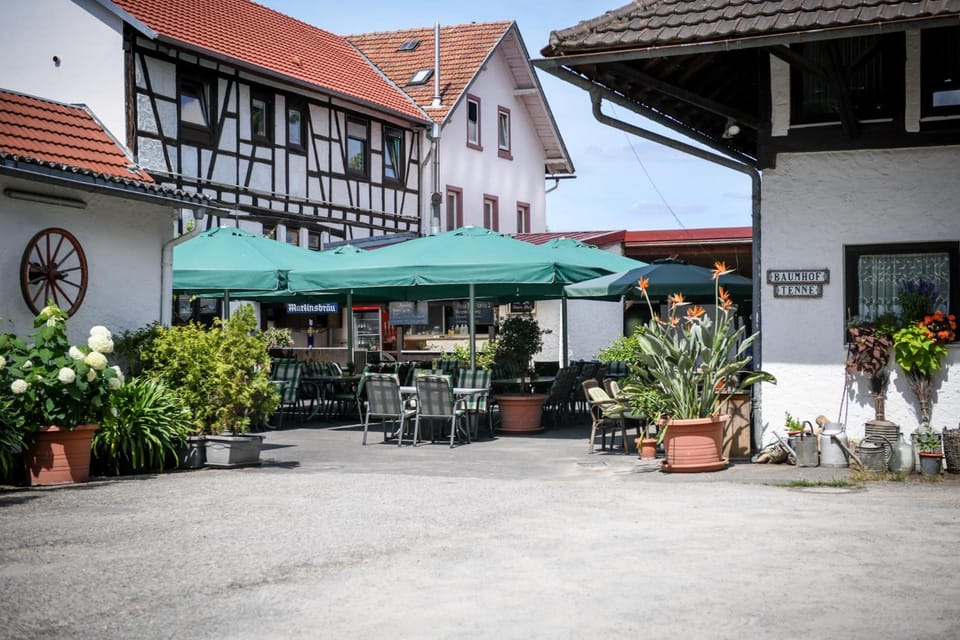 Hotel- Landgasthof Baumhof-Tenne Hotel in Hesse