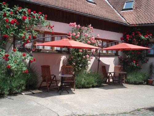 Kreuzerhof Hotel Garni Hotel in Baden-Württemberg