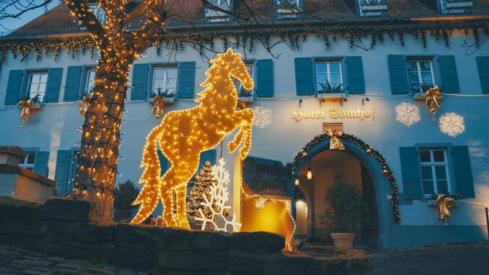 Hotel Domhof Hotel in Speyer