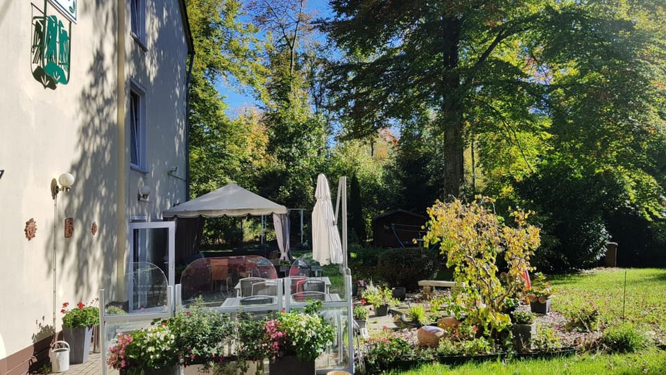 Wald-Hotel Hotel in Rhineland-Palatinate
