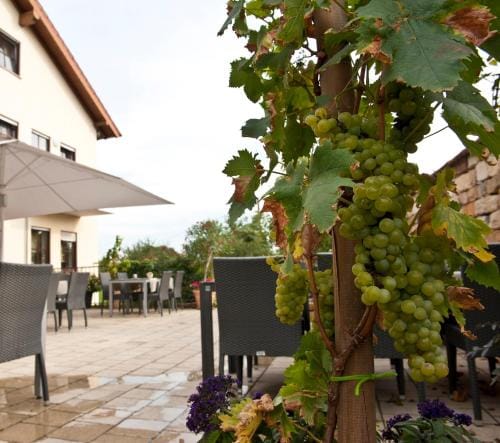 Weingut Sandwiese Winzerhotel Hotel in Worms