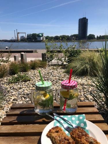B&B Maasview Hotel in Rotterdam