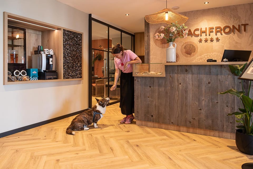 Beachfront Boutiquehotel Hotel in Vlissingen