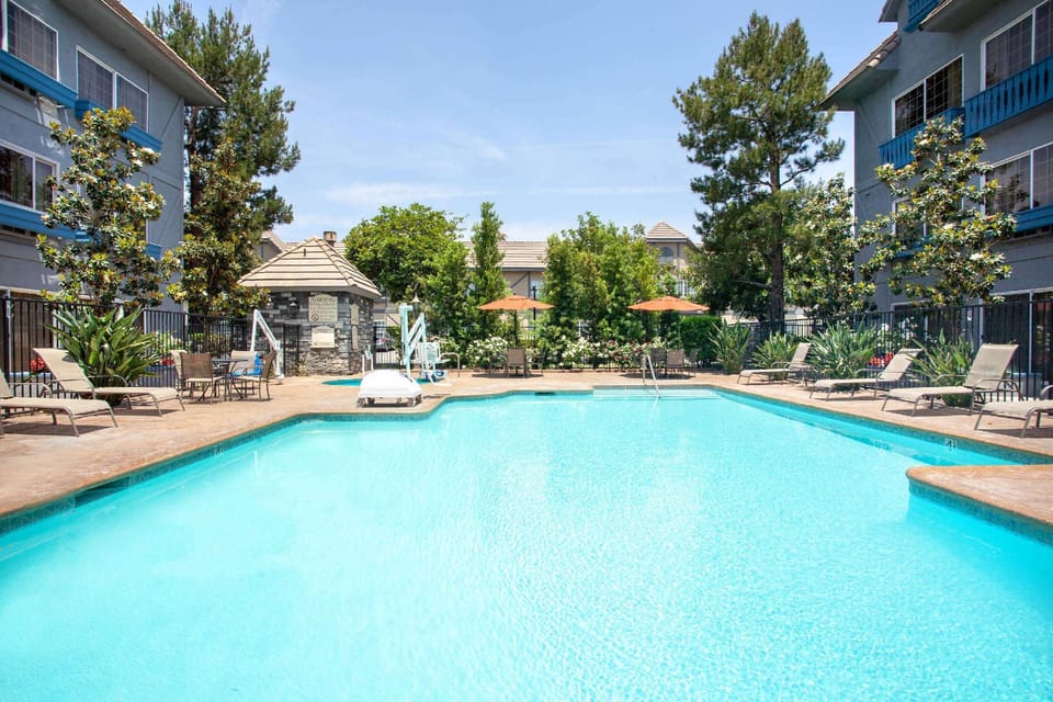 Swimming pool [outdoor]