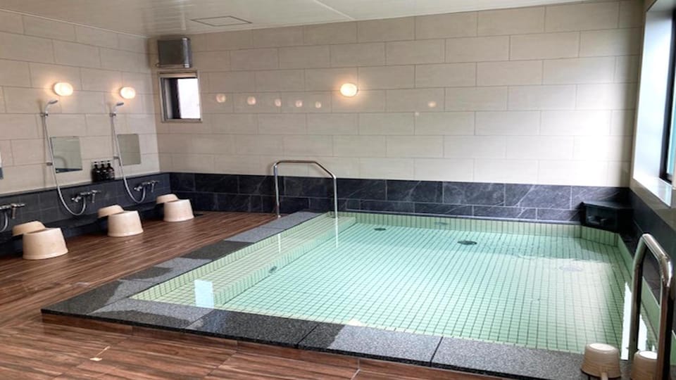 Sabae Dai-ichi Hotel Hotel in Japan