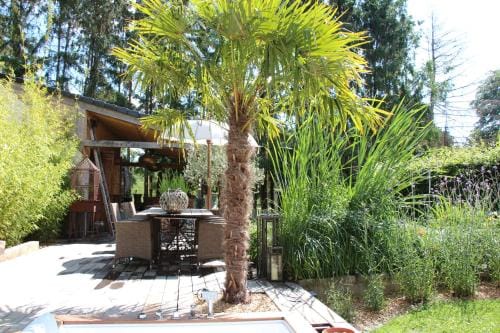 De Tuinkamer, Charme Logie & Table d’Hote Hotel in Limburg (province)