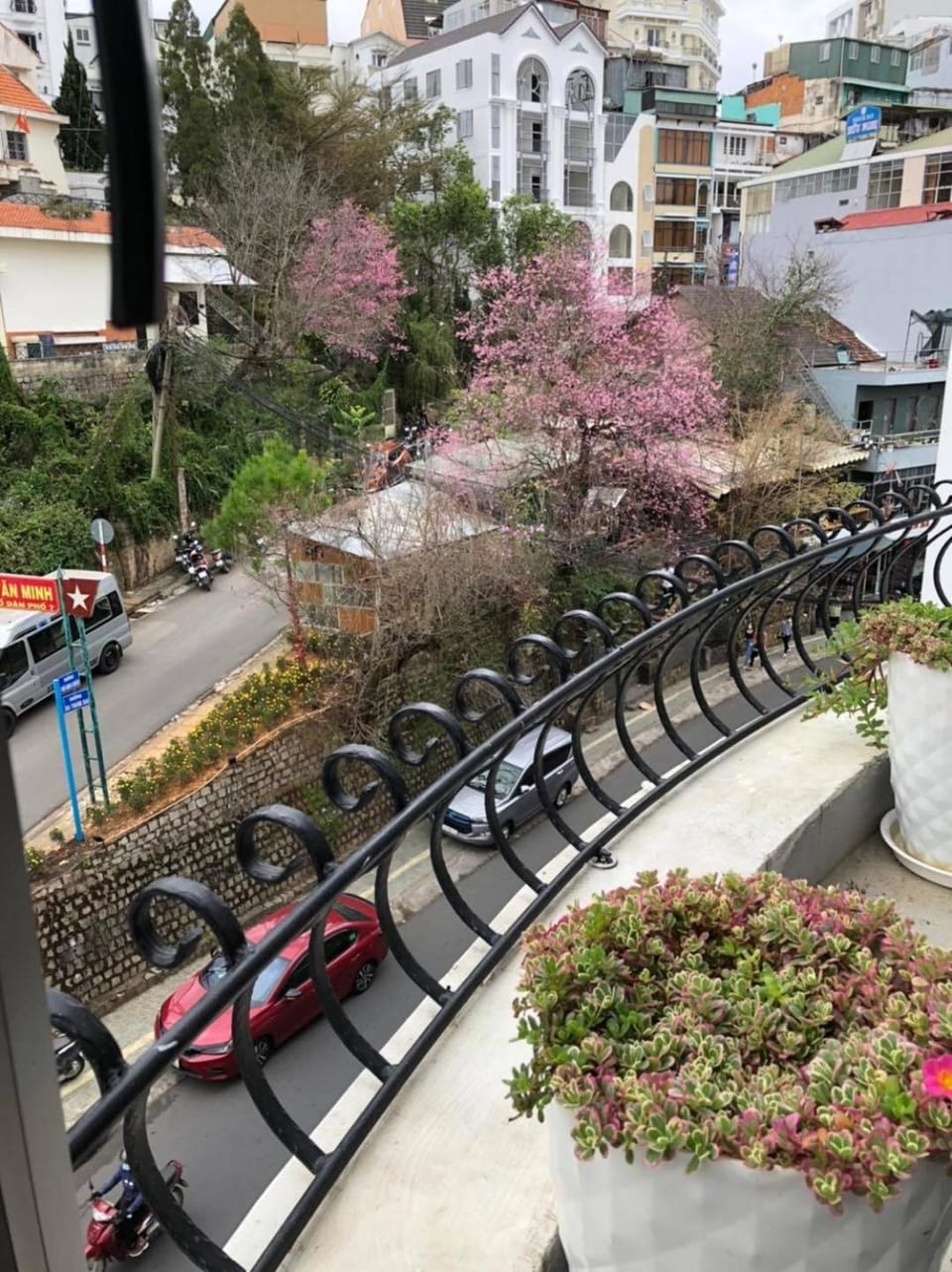 Pansy Hotel Dalat Hotel in Dalat