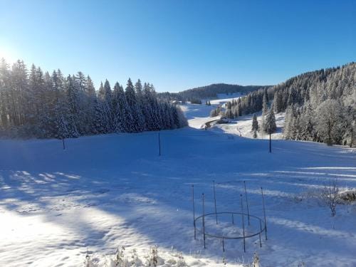 Ch'tit Jura Hotel in Haute-Savoie