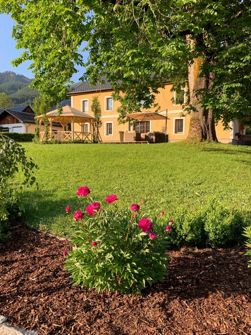 Der Ulmenhof Hotel in Salzburgerland