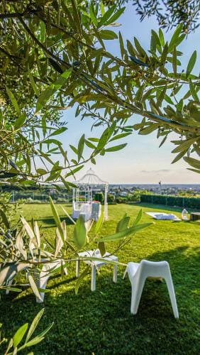 Casale Colle dell'Asino Hotel in Grottaferrata