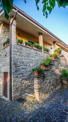 Casale Colle dell'Asino Hotel in Grottaferrata