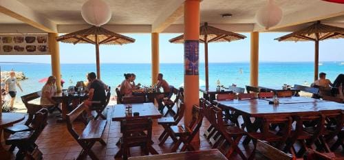 Guest House Jasna Hotel in Novalja