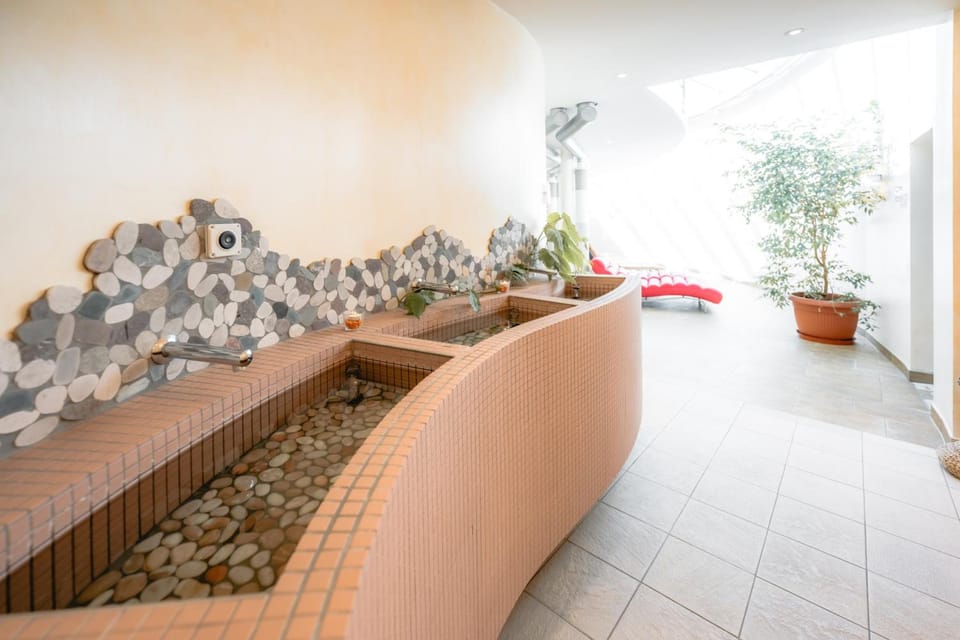 Hotel Alex Hotel in Canton of Valais